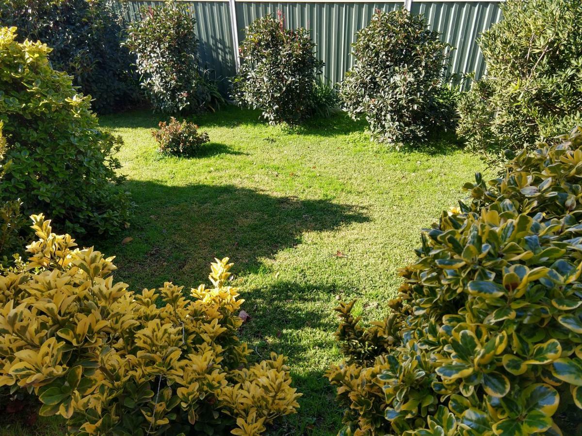 Goldrush Motel Young Cbd מראה חיצוני תמונה